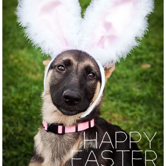 Cable Knit Thigh High Over Socks OTK Boot Burgundy School Girl Uniform Costume - Picture 4 of 4